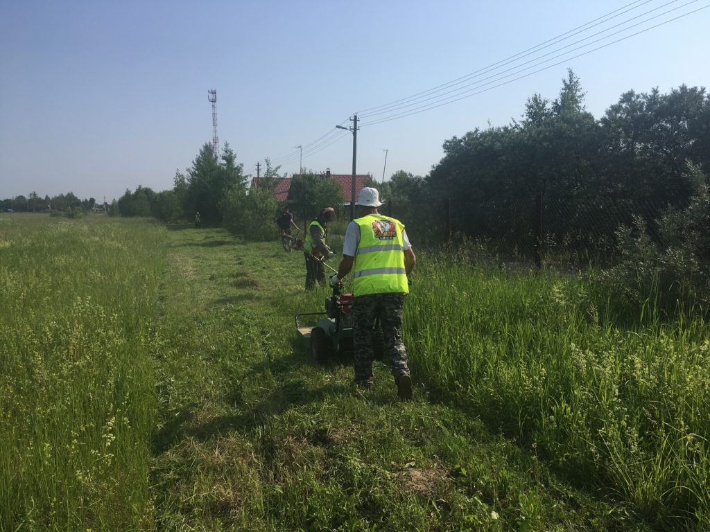 Покос высокой травы в Люберецком районе