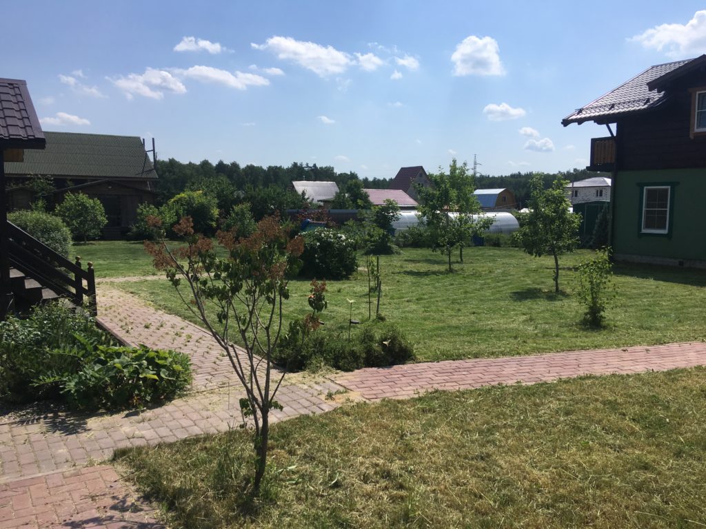 Покос переросшего газона Бронницы.